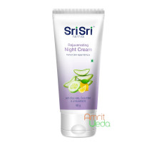 Крем Нічний відновлюючий (Night Cream), 60 грам